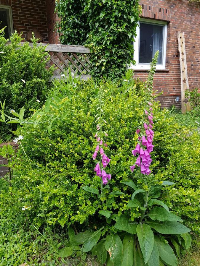 שנברדינגן Ferienwohnung Im Naturgarten מראה חיצוני תמונה